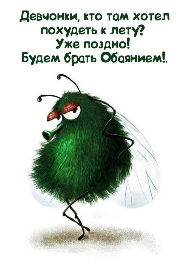 Девчонки, кто там хотел похудеть к лету? Уже поздно! Будем брать Обаянием!.