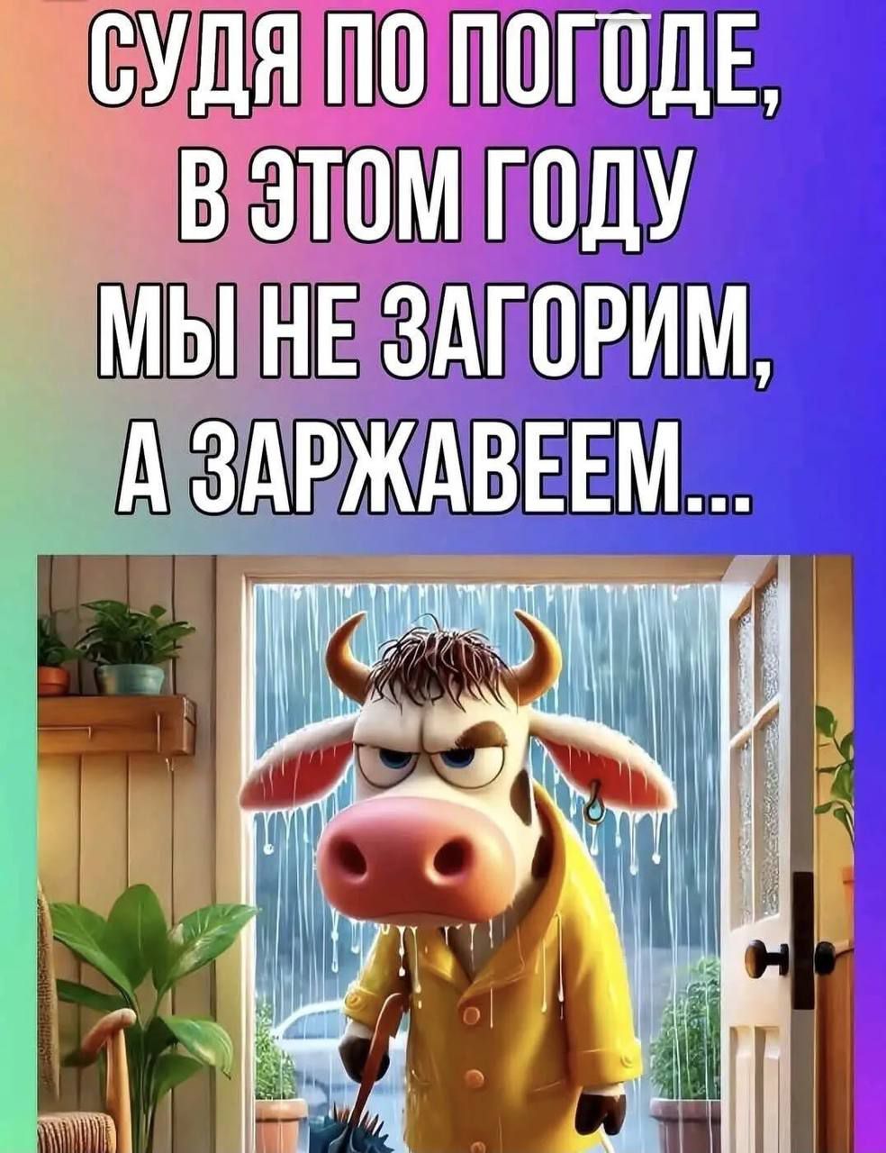 СУДЯ ПО ПОГОДЕ, В ЭТОМ ГОДУ МЫ НЕ ЗАГОРИМ, А ЗАРЖАВЕЕМ...