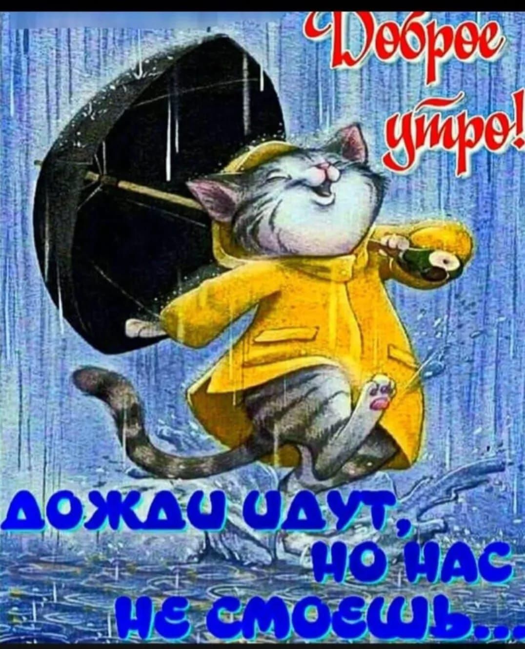 Доброе утро! Дожди идут, но нас не смоешь...