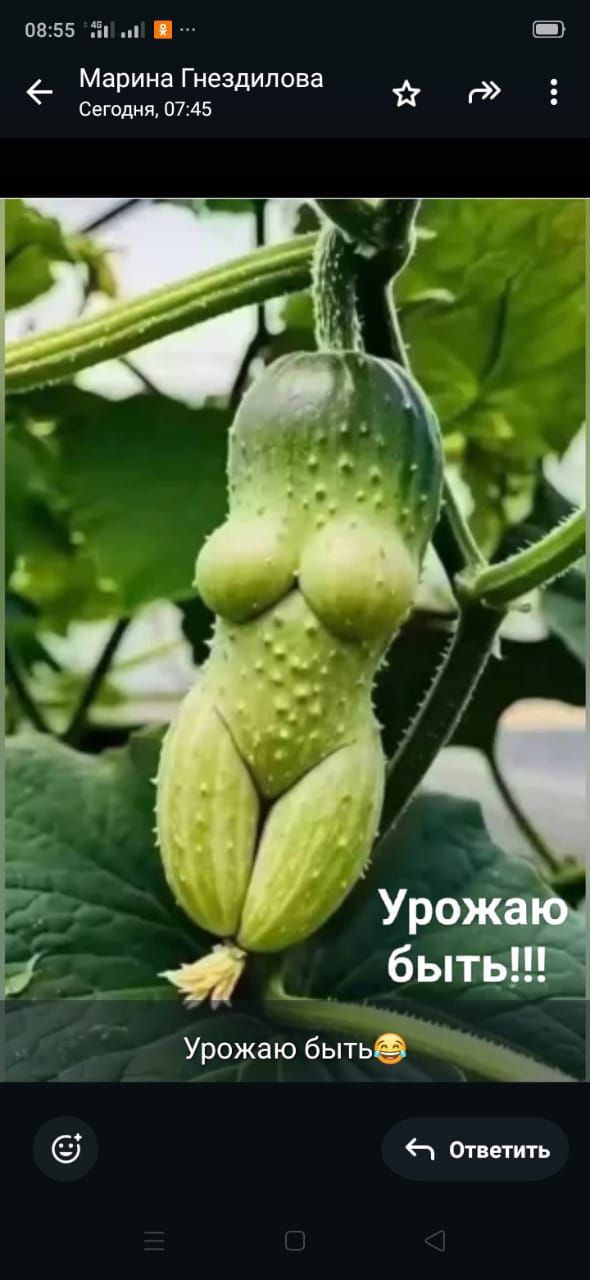 Урожаю быть!!! Урожаю быть😄
