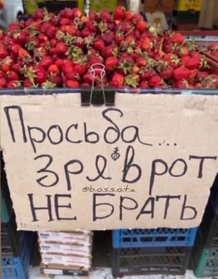 ПРОСЬБА... ЗРЯ В РОТ НЕ БРАТЬ