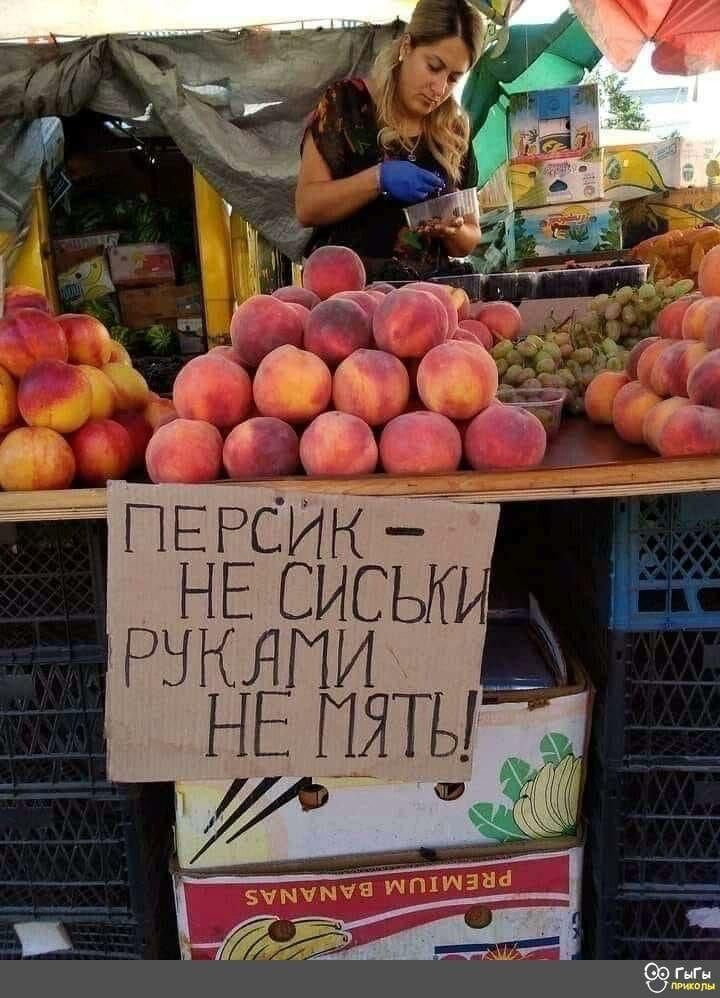 ПЕРСИК – НЕ СИСЬКИ РУКАМИ НЕ МЯТЬ!
