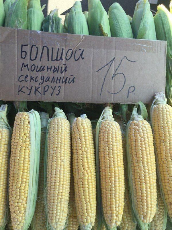 БОЛЬШОЙ Мошный сексуальний КУКРУЗ 15 Р.
