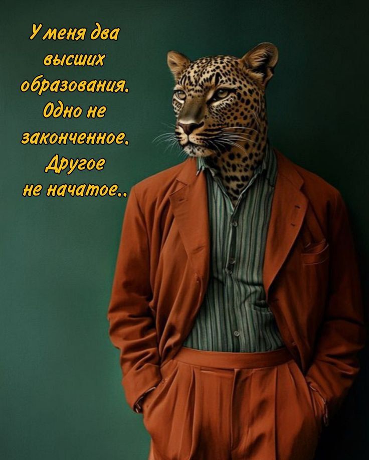 У меня два высших образования. Одно не законченное. Другое не начатое..