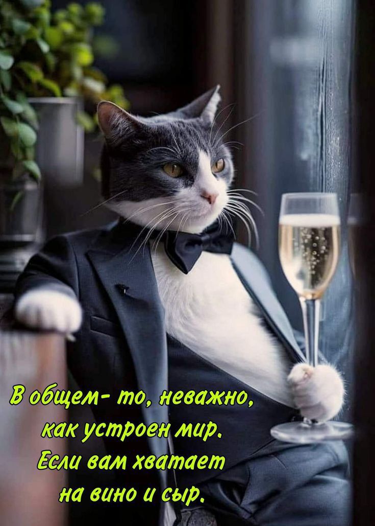 В общем- то, неважно, как устроен мир. Если вам хватает на вино и сыр.