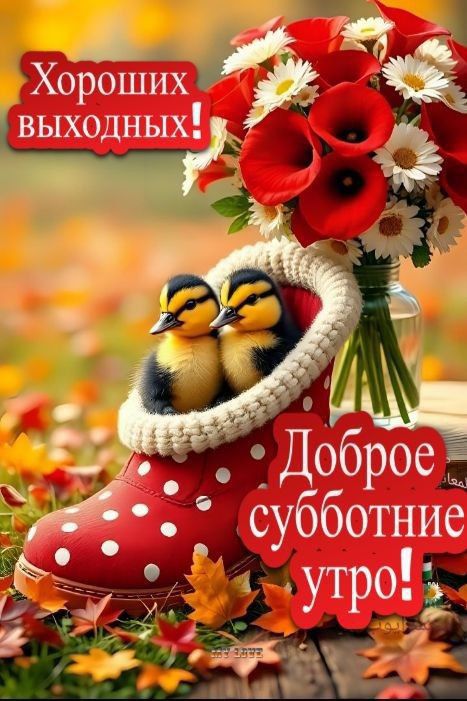Хороших выходных! Доброе субботние утро!