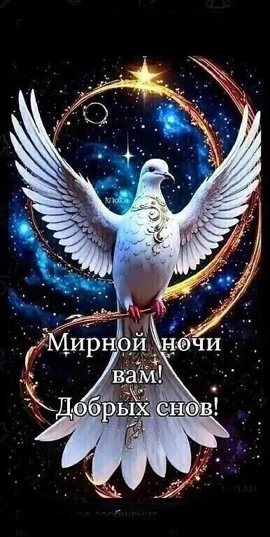 Мирной ночи вам! Добрых снов!