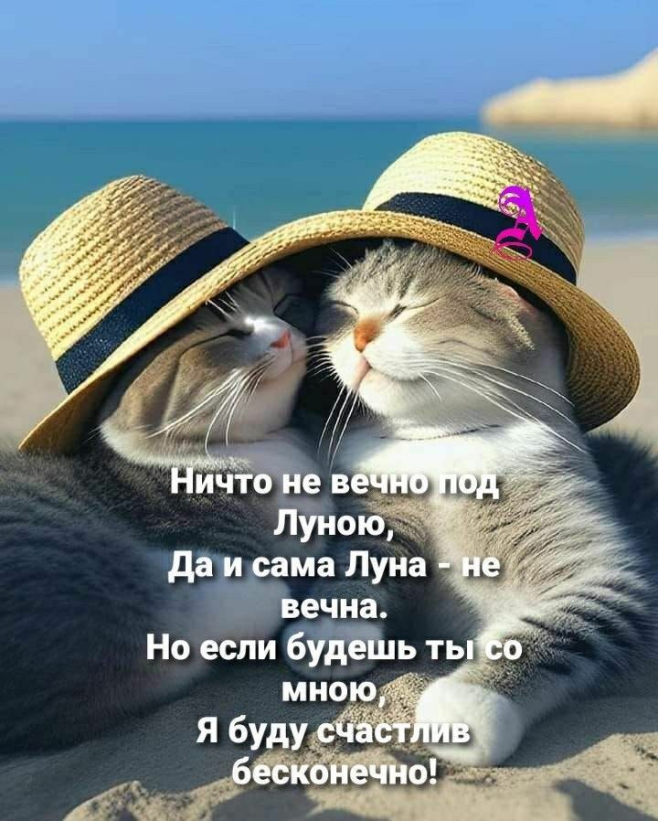 Ничто не вечно под Луною, Да и сама Луна - не вечно. Но если будешь ты со mnю Я буду счастлив бесконечно!
