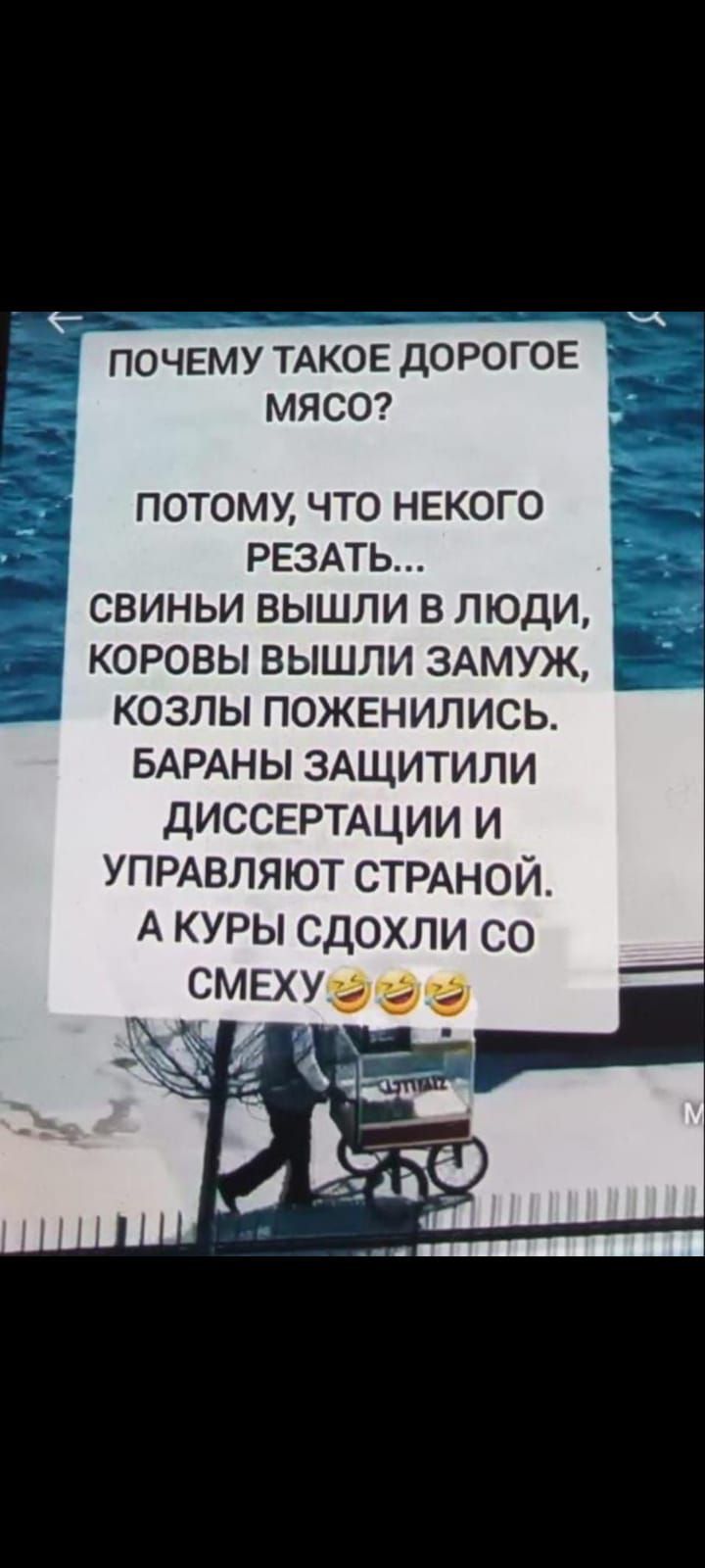 ПОЧЕМУ ТАКОЕ ДОРОГОЕ МЯСО? ПОТОМУ, ЧТО НЕКОГО РЕЗАТЬ... СВИНЫ ВЫШЛИ В ЛЮДИ, КОРОВЫ ВЫШЛИ ЗАМУЖ, КОЗЛЫ ПОЖЕНИЛИСЬ. БАРАНЫ ЗАЩИТИЛИ ДИССЕРТАЦИИ И УПРАВЛЯЮТ СТРАНОЙ. А КУРЫ СДОХЛИ СО СМЕХУ 😂😂😂