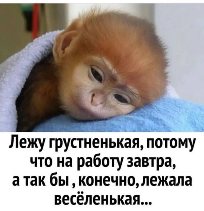 Лежу грустненькая, потому что на работу завтра, а так бы, конечно, лежала весёленькая...