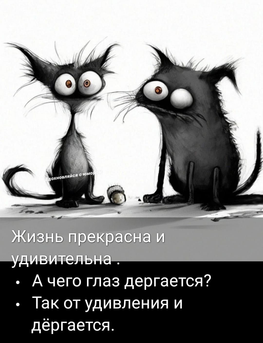 Жизнь прекрасна и удивительна.
• А чего глаз дергается?
Так от удивления и дёргается.