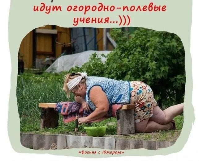 идут огородно-полевые учения...)))