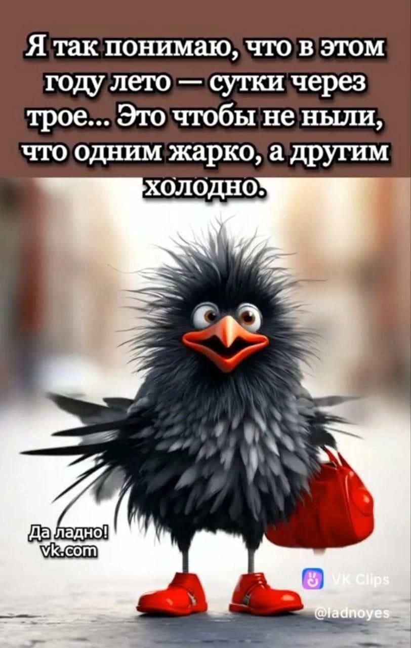 Я так понимаю, что в этом году лето — сутки через трое... Это чтобы не ныли, что одним жарко, а другим холодно.