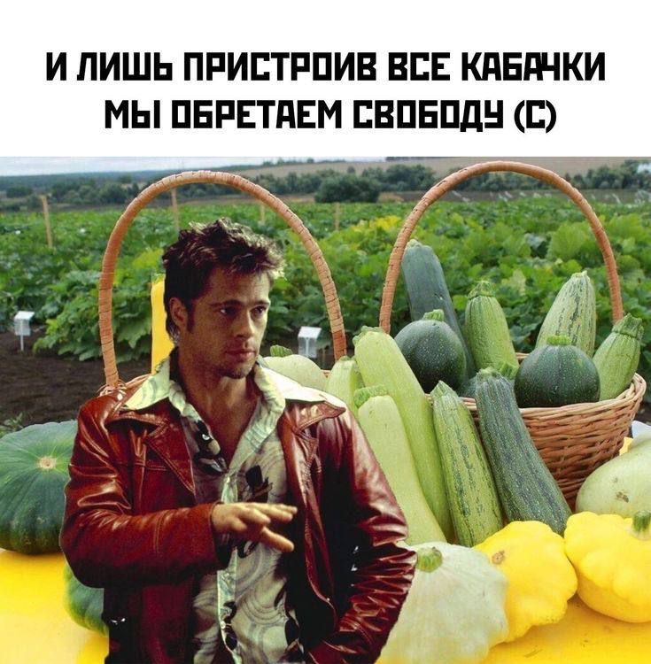 И лишь пристроив все кабачки мы обретем свободу (с)