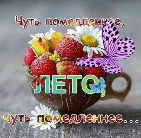 Чуть помедленнее, ЛЕТО, чуть помедленнее...
