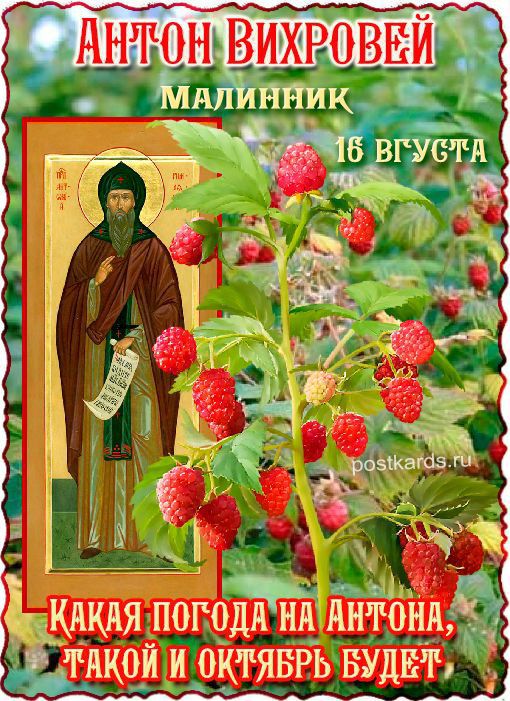 АНТОН ВИХРОВЕЙ
МАЛИНИК
16 ВГУСТА
КАКАЯ ПОГОДА НА АНТОНА, ТАКОЙ И ОКТЯБРЬ БУДЕТ
