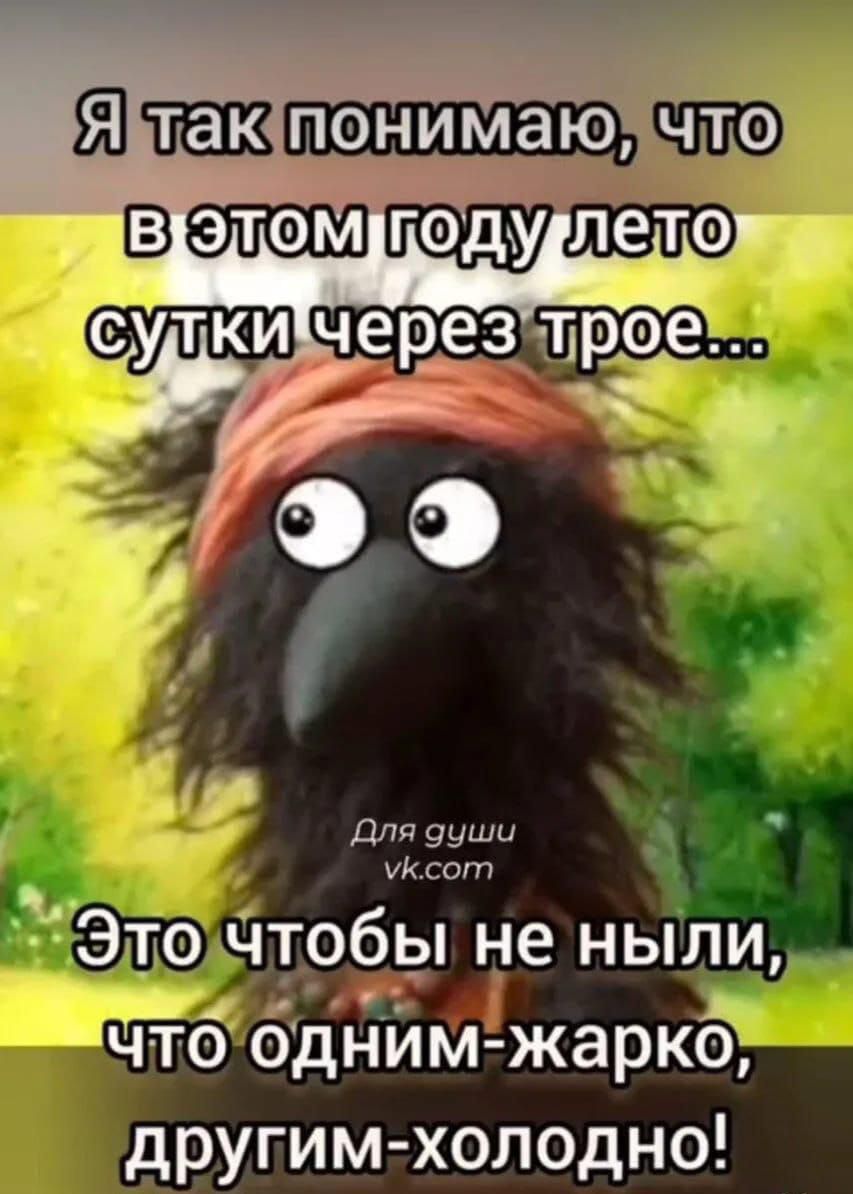 Я так понимаю, что в этом году лето сутки через трое... Это чтобы не ныли, что одним-жарко, другим-холодно!