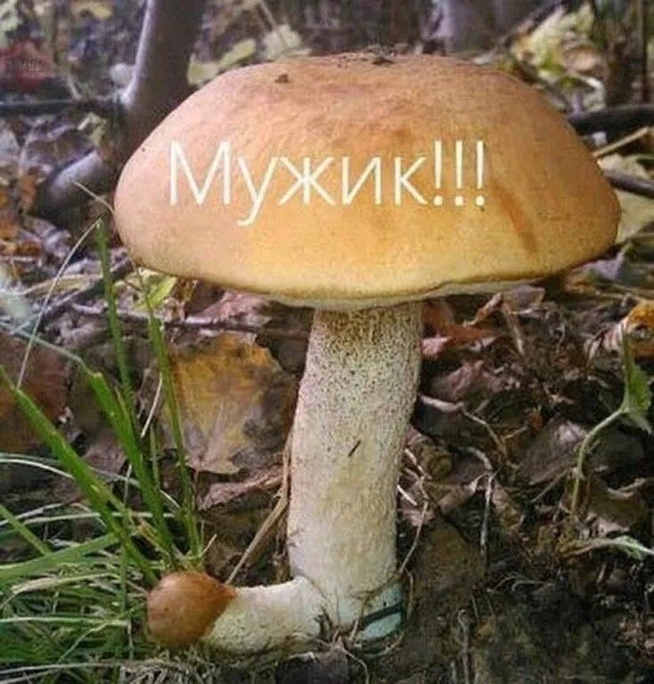 Мужик!!!