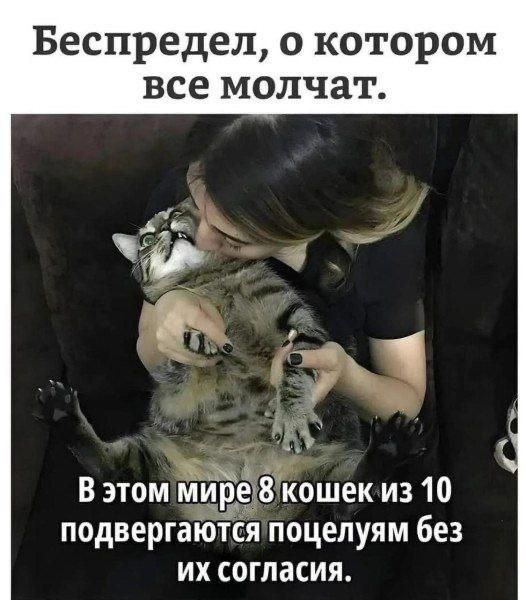 Беспредел, о котором все молчат.
В этом мире 8 кошек из 10 подвергаются поцелуям без их согласия.