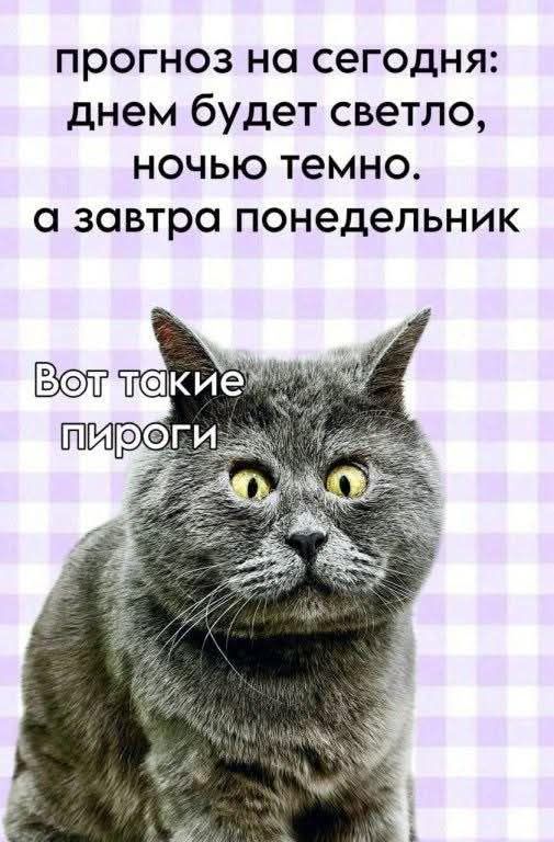 прогноз на сегодня: днем будет светло, ночью темно. а завтра понедельник Вот такие пироги