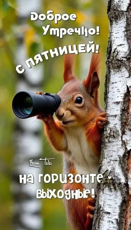 Доброе Утречко! с пятницей! на горизонте - выходные!