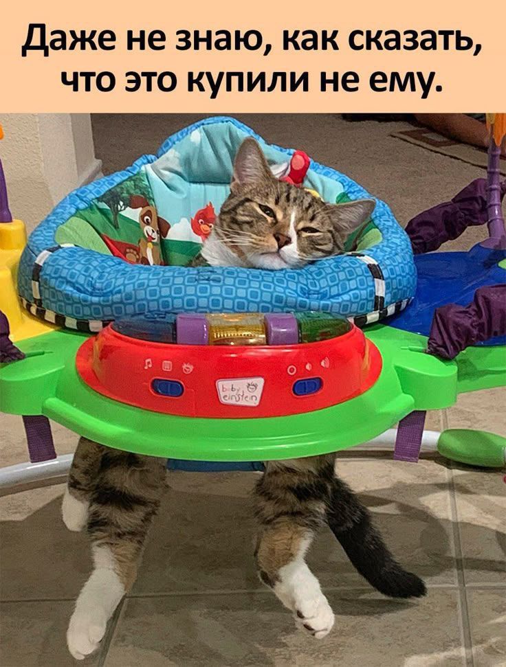 Даже не знаю, как сказать, что это купили не ему.