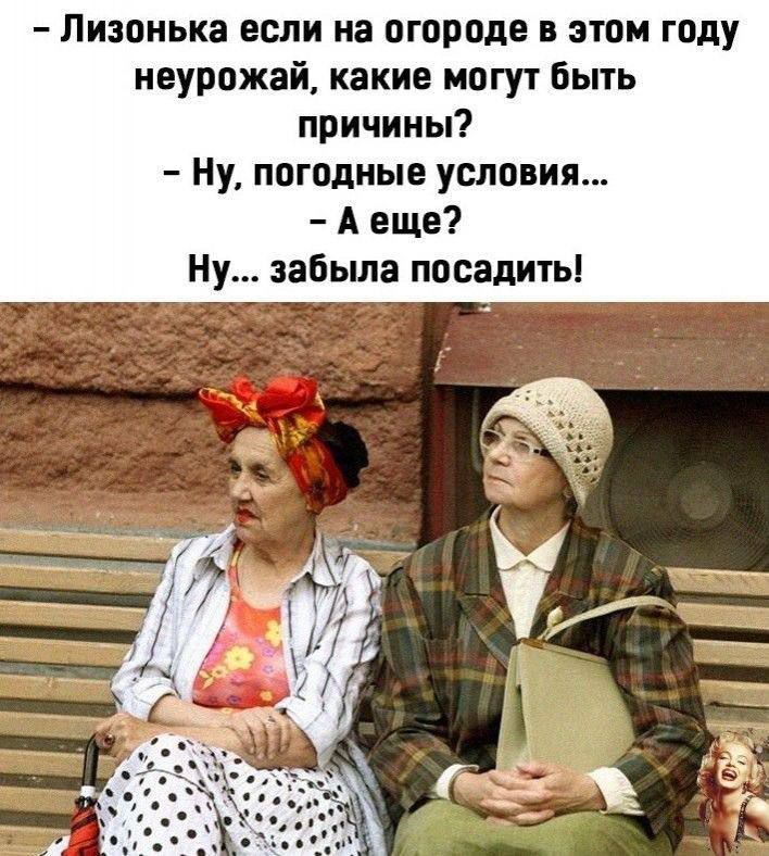 – Лизонька если на огороде в этом году неврожай, какие могут быть причины?  – Ну, погодные условия...  – А еще?  – Ну... забыла посадить!