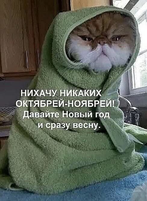 НИХАЧУ НИКАКИХ ОКТЯБРЕЙ-НОЯБРЕЙ! Давайте Новый год и сразу весну.