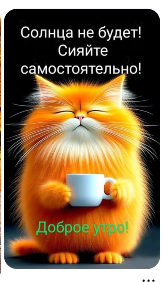 Солнца не будет! Сияйте самостоятельно!
Доброе утро!