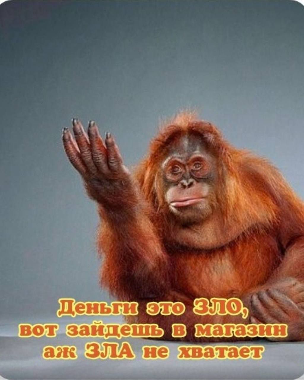 Деньги это ЗЛО, вот зайдешь в магазин аж ЗЛА не хватает