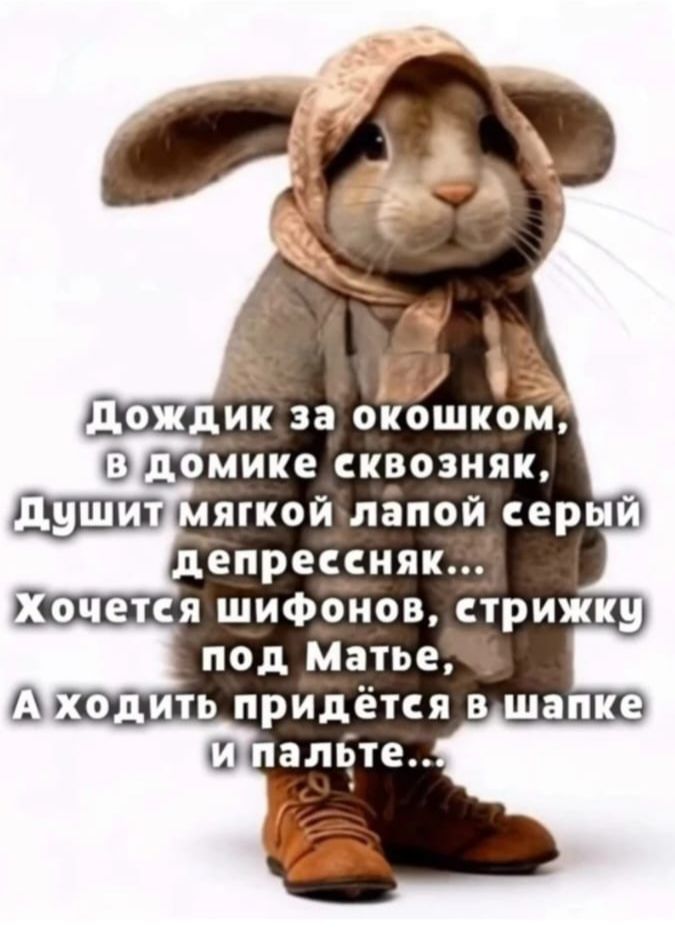 Дождик за окошком, в домике сквозняк, Душит мягкой лапой серый депрессняк... Хочется шифонов, стрижку под Матье, А ходить придётся в шапке и пальте...