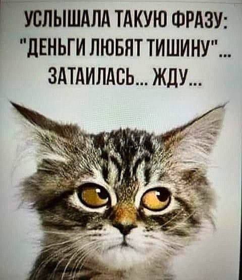 УСЛЫШАЛА ТАКУЮ ФРАЗУ: 