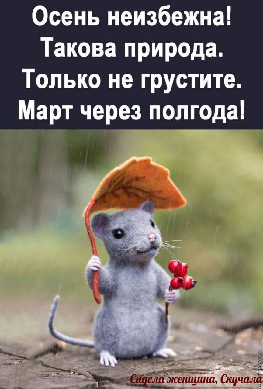 Осень неизбежна! Такова природа. Только не грустите. Март через полгода!