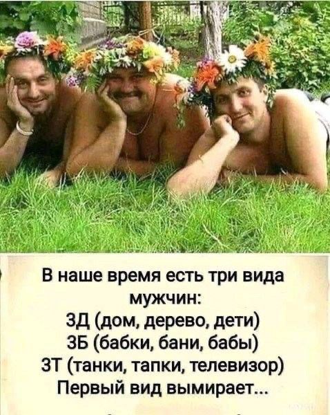 В наше время есть три вида мужчин: ЗД (дом, дерево, дети) ЗБ (бабки, бани, бабы) ЗТ (танки, тапки, телевизор) Первый вид вымирает...