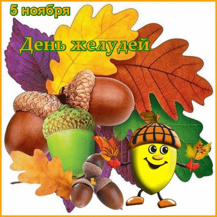 5 ноября\nДень желудей