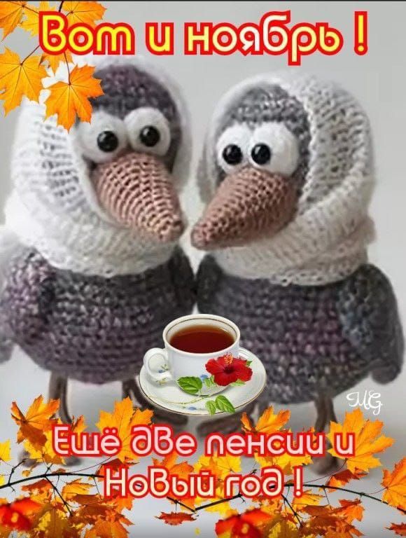 Вот и ноябрь! Ещё две пенсии и Новый год!