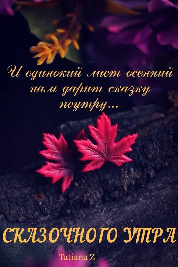 И одинокий лист осенний нам дарит сказку поутру...\nСКАЗОЧНОГО УТРА\nTatiana Z
