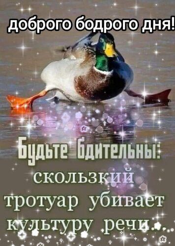 доброго бодрого дня! Будьте бдительны: скользкий тротуар убивает культуру речи.