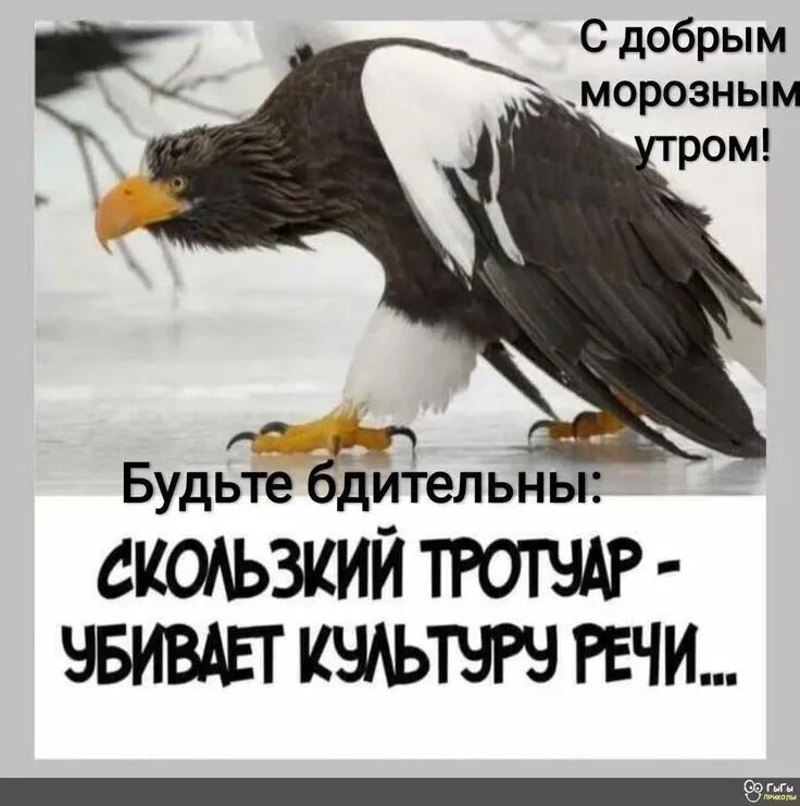 С добрым морозным утром! Будьте бдительны: СКользкий тротчар - убивает культуру речи...
