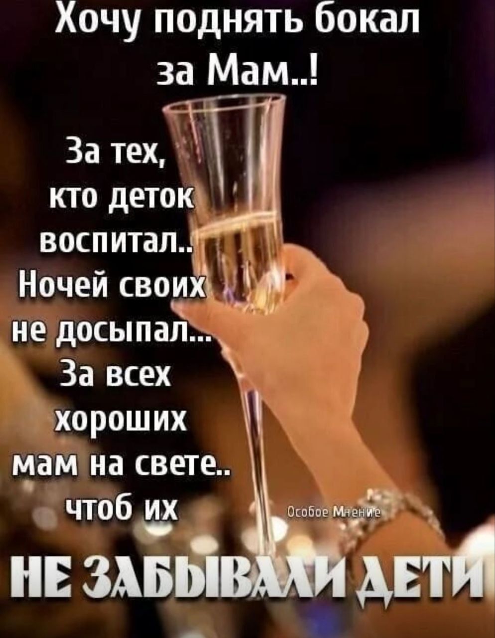 Хочу поднять бокал за Мам..! За тех, кто деток воспитал.. Ночей своих не досыпал.. За всех хороших мам на свете.. чтоб их не забывали дети