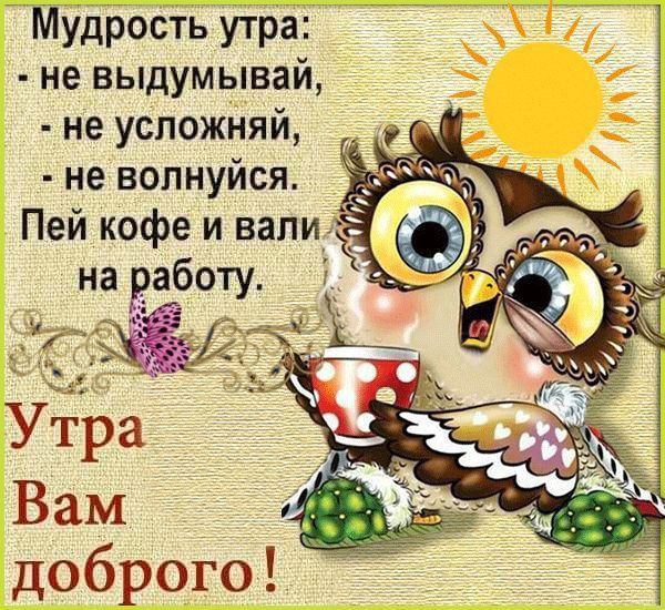 Мудрость утра: - не выдумывай, - не усложняй, - не волнуйся. Пей кофе и валяй на работу. Утра Вам доброго!