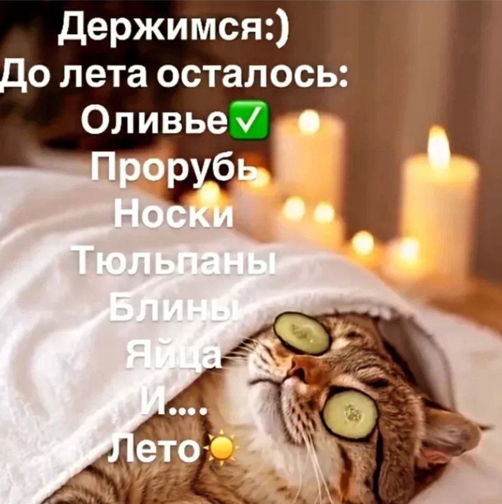 Держимся:) До лета осталось: Оливье✅ Прорубь Носки Тюльпаны Блины яйца И... Лето☀️