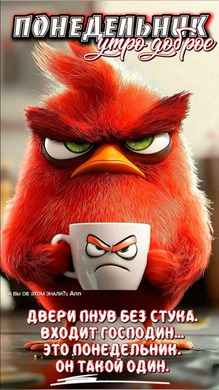 ПОНЕДЕЛЬНИК утро до утра. А вы об этом знали? Двери пнув без стука входит господин... это понедельник. он такой один.