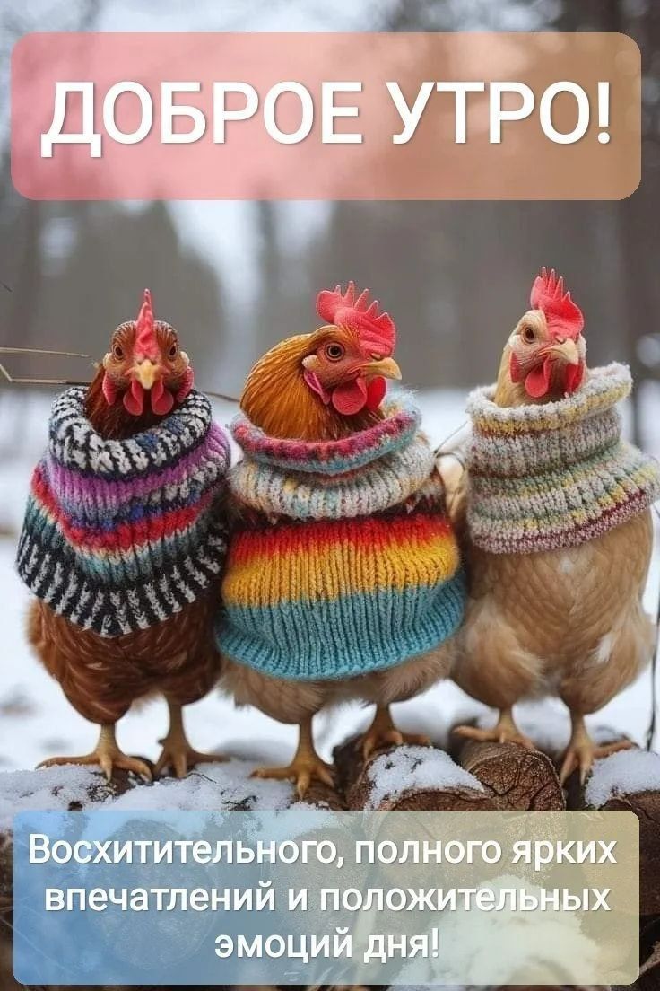 ДОБРОЕ УТРО!
Восхитительного, полного ярких впечатлений и положительных эмоций дня!