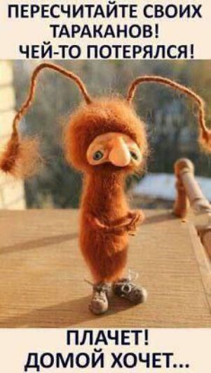 ПЕРЕСЧИТАЙТЕ СВОИХ ТАРАКАНОВ! ЧЕЙ-ТО ПОТЕРЯЛСЯ! ПЛАЧЕТ! ДОМОЙ ХОЧЕТ...