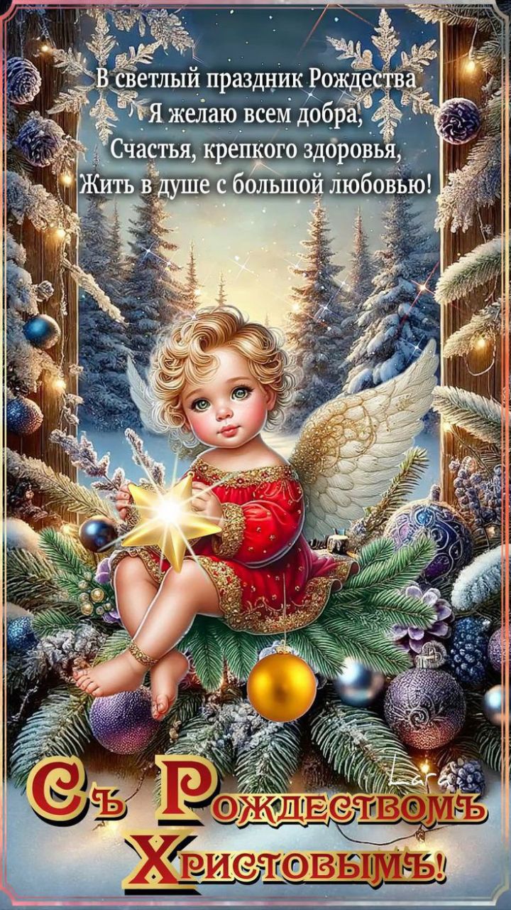 В светлый праздник Рождества Я желаю всем добра, Счастья, крепкого здоровья, Жить в душе с большой любовью! С Рождеством Христовым!