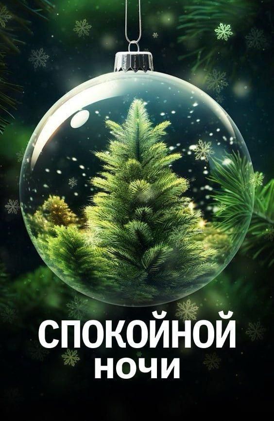 СПОКОЙНОЙ НОЧИ