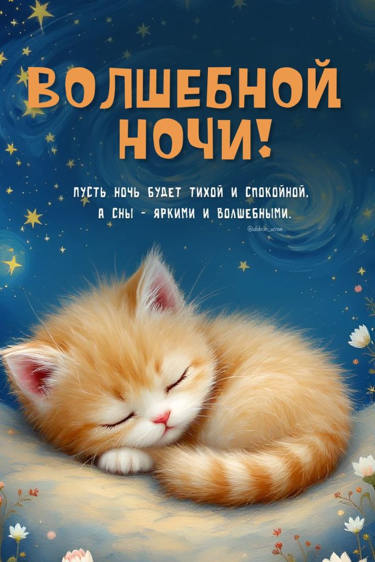 ВОЛШЕБНОЙ НОЧИ: Пусть ночь будет тихой и спокойной, а сны - яркими и волшебными.