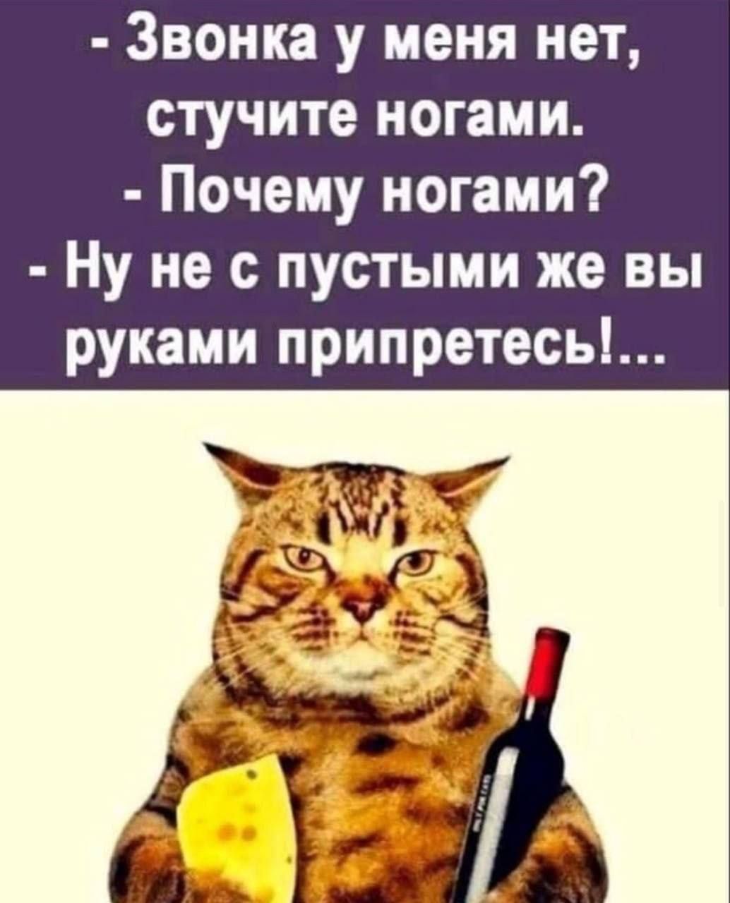 - Звонка у меня нет, стучите ногами. - Почему ногами? - Ну не с пустыми же вы руками приперетесь!...