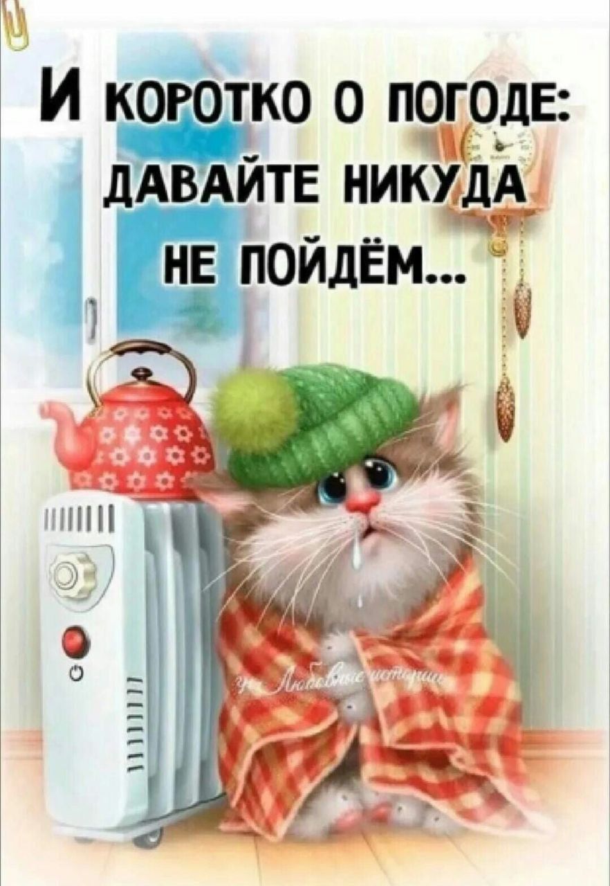 И КОРОТКО О ПОГОДЕ: ДАВАЙТЕ НИКУДА НЕ ПОЙДЁМ...